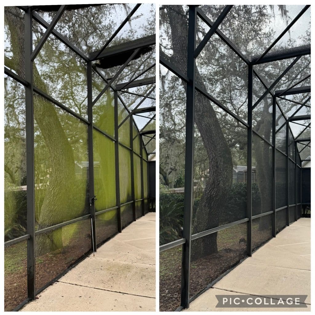 Project Screen Enclosure Cleaning in Sanford FL Goes from Green to Clean image