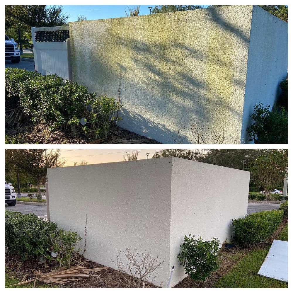 Gallery photos for Before & Afters: Image #7