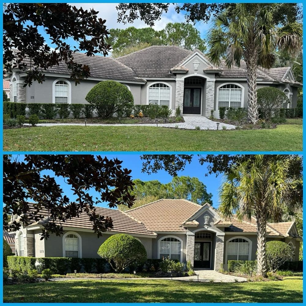 Project Before & Afters image